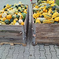 zdjecie ogloszenia