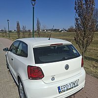 zdjecie ogloszenia
