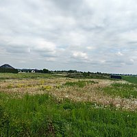 zdjecie ogloszenia