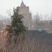 zdjecie ogloszenia