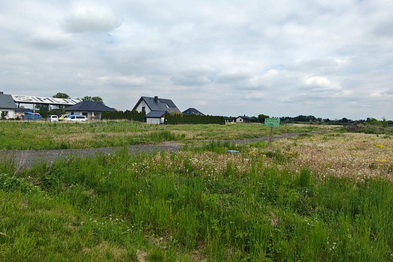 zdjecie ogloszenia