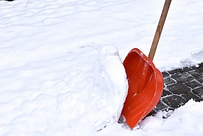 Ten obowiązek może wreszcie zniknąć. Sejm rozważa zmianę przepisów-17232