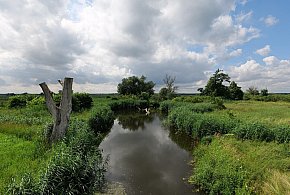 Co dalej z nowym parkiem narodowym? Minister klimatu zdradza plan po wecie-17361