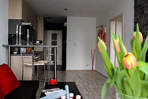 Rewolucja w wynajmie na doby. Nadchodzi koniec "wolnej amerykanki"-17614