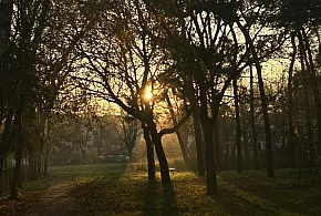 Nadchodzi najkrótszy dzień w 2025 roku. Sprawdź, kiedy przypadnie-17755