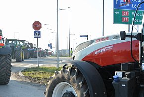 Rolnicy zapowiadają protest w całym kraju. Skala może zaskoczyć-17824
