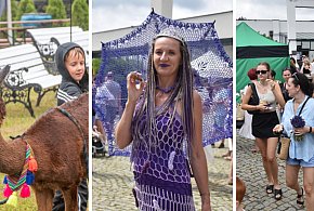 XIII Festiwal Lawendy w Uniejowie. Dzień pełen zapachów, muzyki i atrakcji