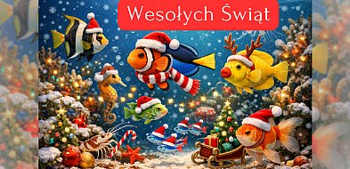Życzenia Bożonarodzeniowe od Koła Wędkarskiego PZW nr 16 w Uniejowie-17804