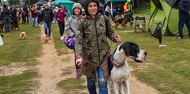 Psie piękności wracają do uzdrowiska. W maju Wystawa Psów Rasowych