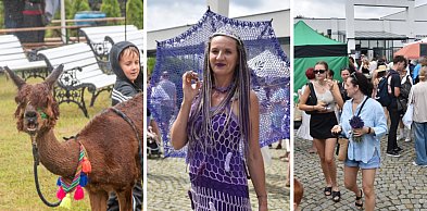 XIII Festiwal Lawendy w Uniejowie. Dzień pełen zapachów, muzyki i atrakcji