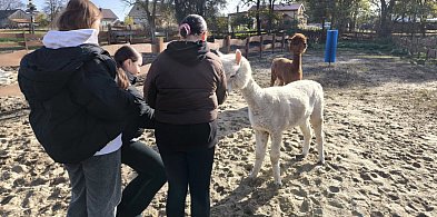Razem dla natury i ludzi – Fundacja „Pomerdało mi się” rozwija skrzydła-17319