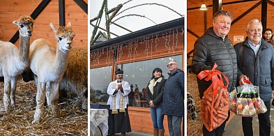 Żywa szopka bożonarodzeniowa w Zoo Borysew. Bezpłatna atrakcja czynna codziennie-17631