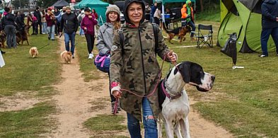 Psie piękności wracają do uzdrowiska. W maju Wystawa Psów Rasowych