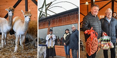 Żywa szopka bożonarodzeniowa w Zoo Borysew-17631