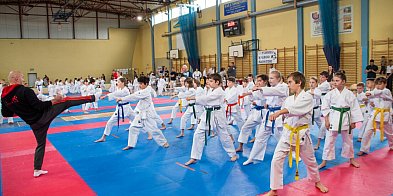 Turniej Małego Karateki zorganizowano po raz dwunasty w Uniejowie [FOTO]