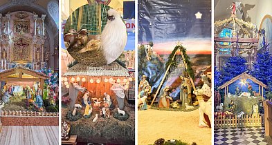 Jak wyglądają szopki betlejemskie w kościołach gminy Uniejów? Mamy zdjęcia-17807