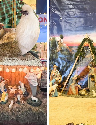 Jak wyglądają szopki betlejemskie w kościołach gminy Uniejów? Mamy zdjęcia-17807