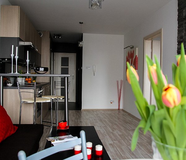 Rewolucja w wynajmie na doby. Nadchodzi koniec "wolnej amerykanki"-17614