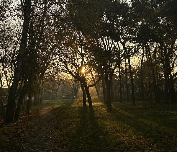 Nadchodzi najkrótszy dzień w 2025 roku. Sprawdź, kiedy przypadnie-17755