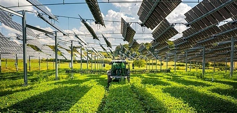 Fotowoltaika dla rolnika - jak obniżyć koszty gospodarstwa i nie dać się podwyżkom