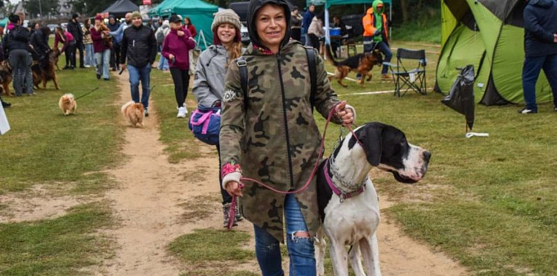 Psie piękności wracają do uzdrowiska. W maju Wystawa Psów Rasowych