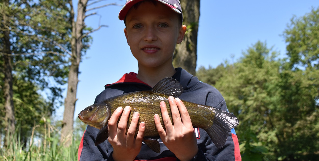 fot. zdjęcie arhiwalne