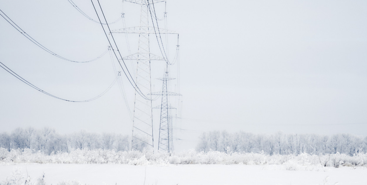 zdjęcie ilustracyjne.