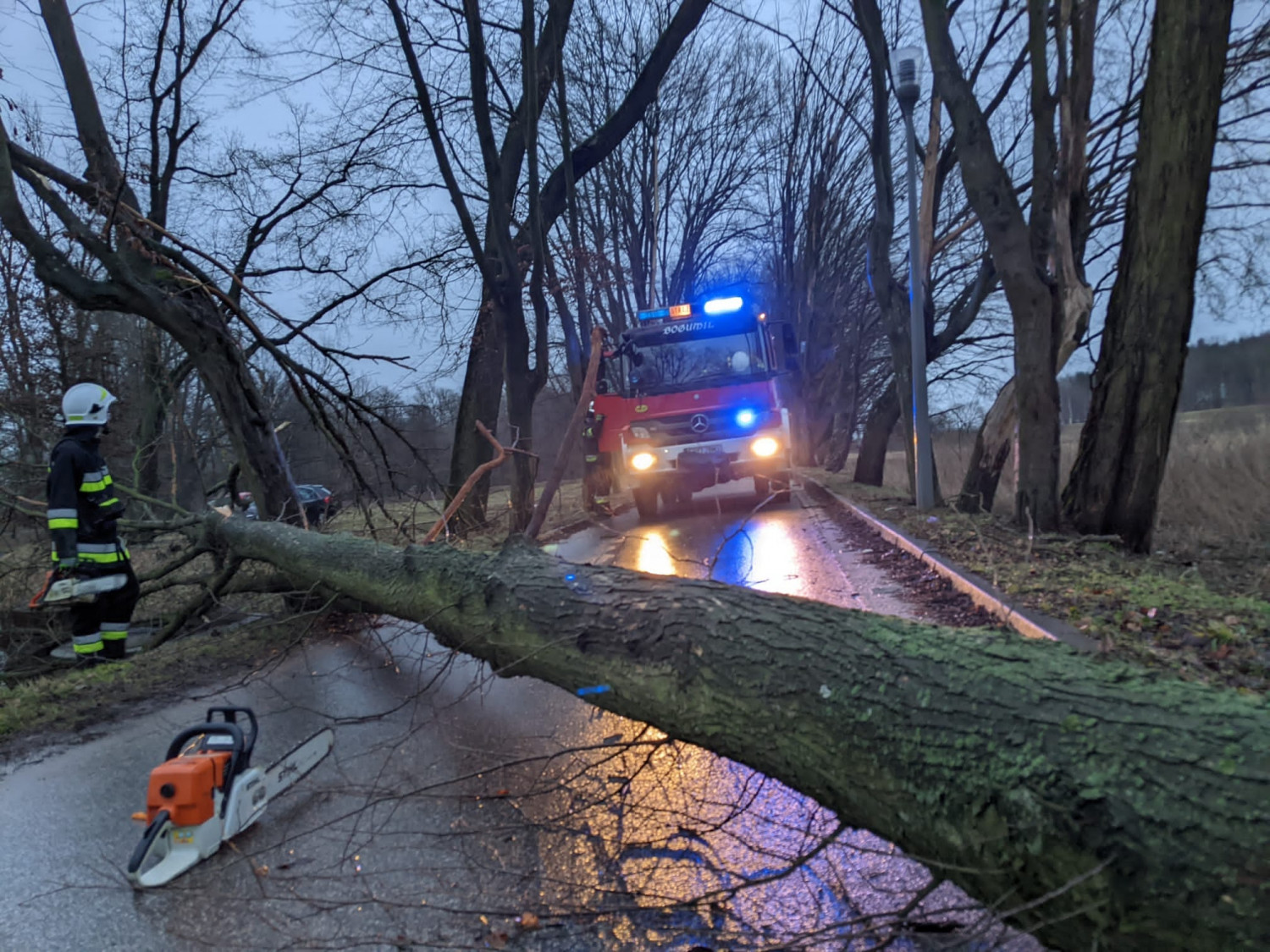 Ochotnicy z OSP w Uniejowie podczas usuwania powalonego drzewa na terenie Parku w Uniejowie. Zablokowało ono dojazd do pobliskiego Uzdrowiska. Fot. OSP w Uniejowie